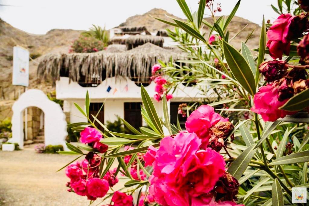 Hotel Smiling Crab Canoas de Punta Sal Exterior foto